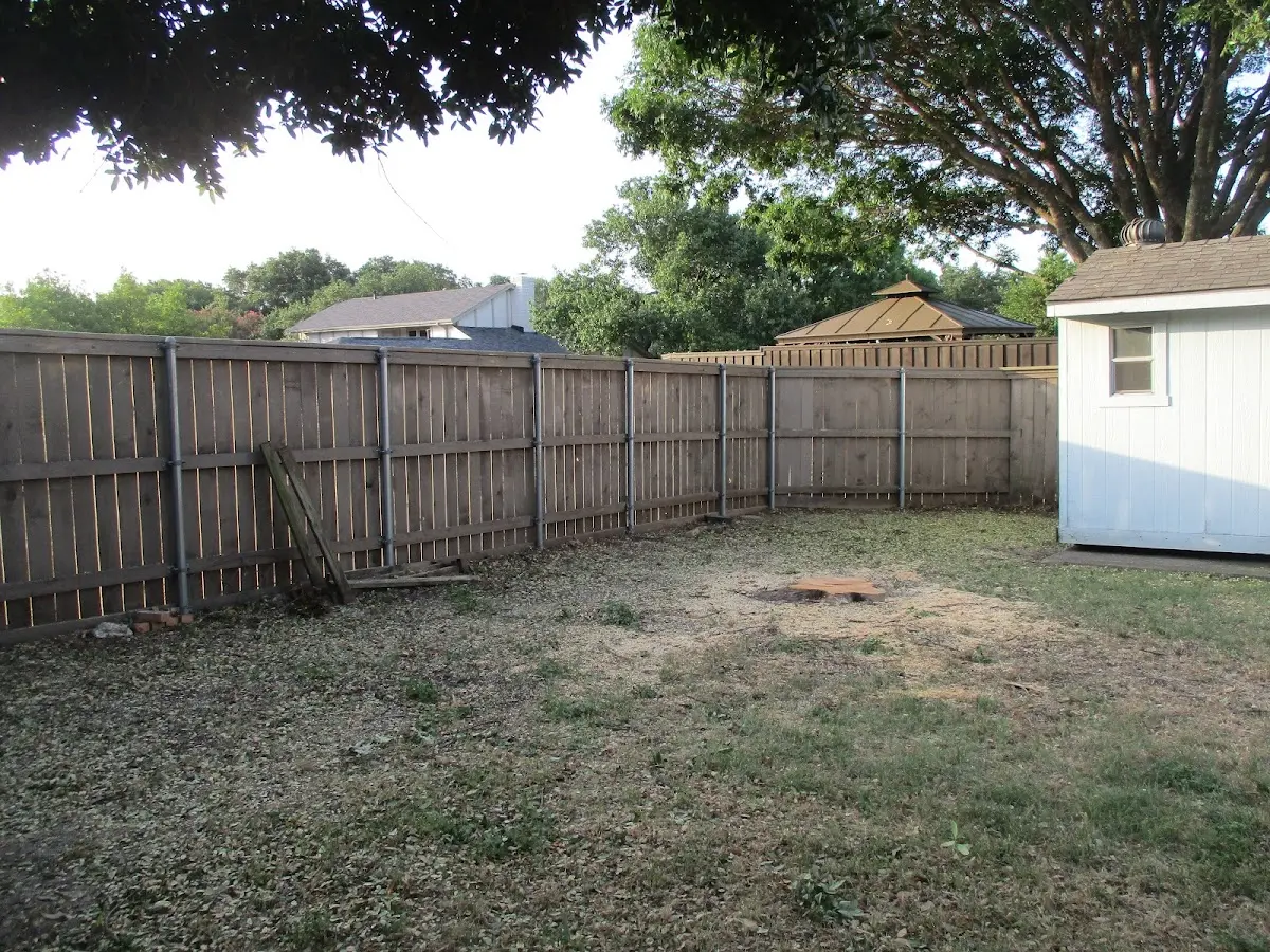 Cleared yard after professional tree removal in San Juan Capistrano